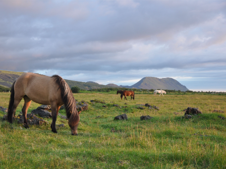 Iceland Volcano & River Ride